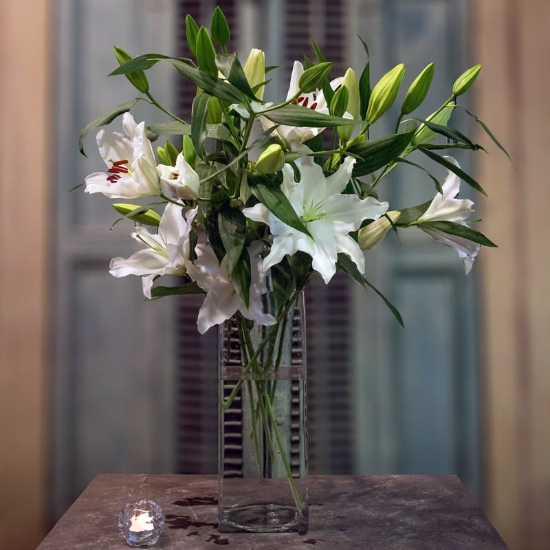10 Meaningful Occasions to Gift White Lilies