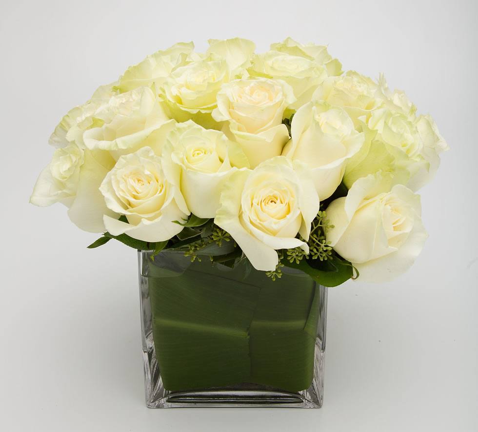 White Mondial Roses