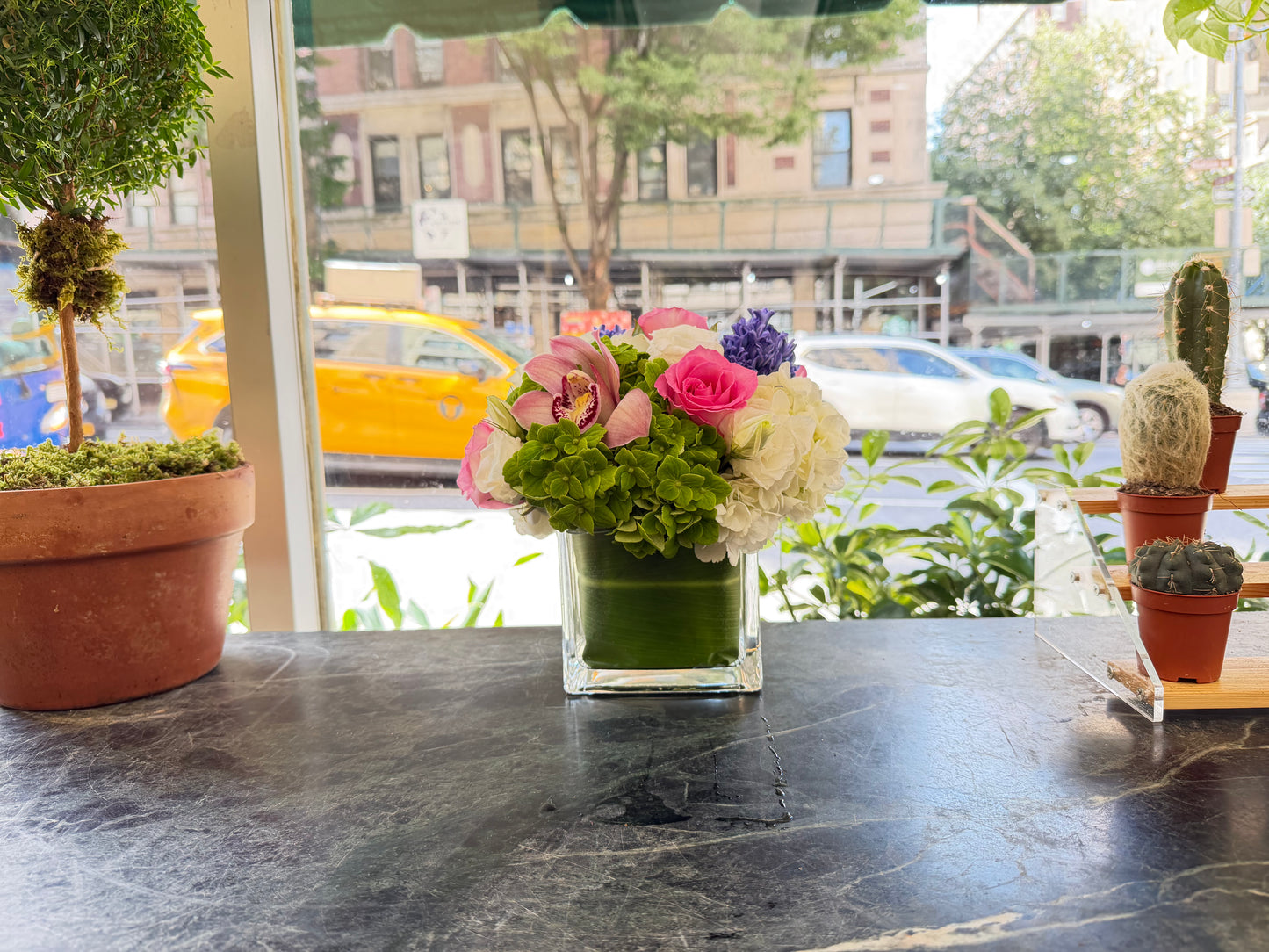
                    
                      Eliana cube arrangement on a florist's counter between a potted topiary and small cacti, city street through the window
                    
                  