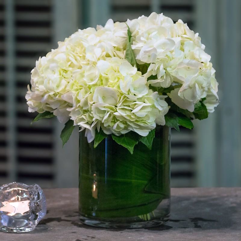 White Hydrangea Arrangement in Glass - Jerome Florists NYC