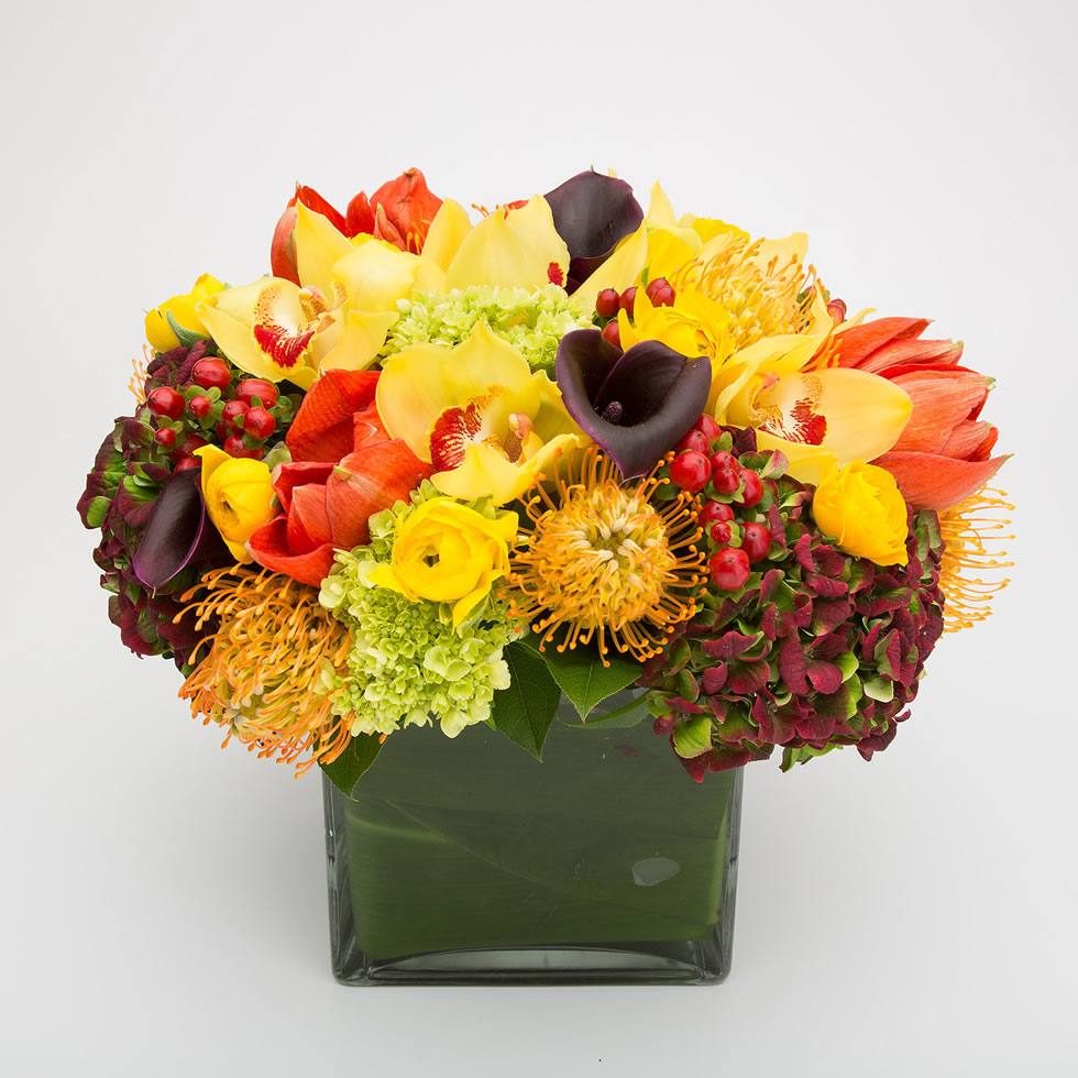 Colorful hydrangea, amaryllis, calla lily and orchid cube – Jerome Florists NYC